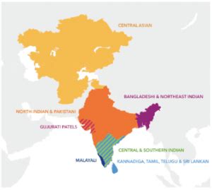 Southeast Asian DNA Test .